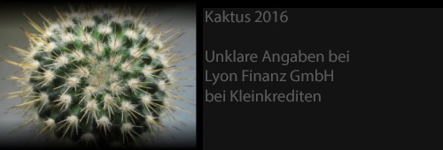 kaktus_2016